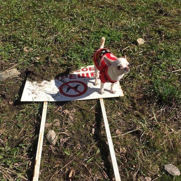 daily picdump 102 pics 3.html - 102 HD Photos | Premium Gallery 2017