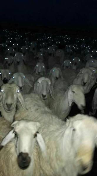 daily picdump 102 pics 3.html - 102 HD Photos | Premium Gallery 2017