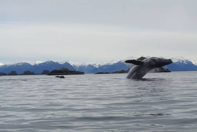 daily picdump 102 pics 3.html - 102 HD Photos | Premium Gallery 2017