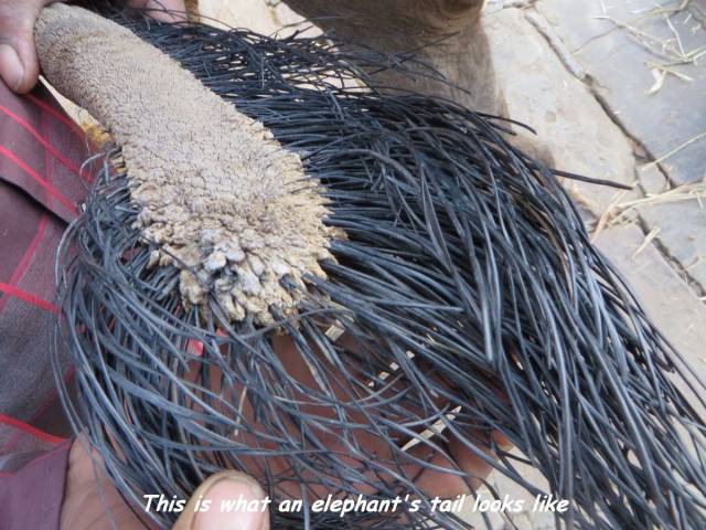 daily picdump 102 pics 3.html - 102 HD Photos | Premium Gallery 2017