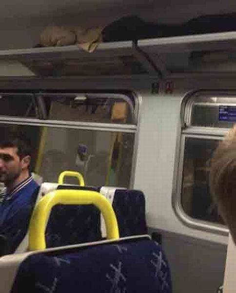 daily picdump 102 pics 3.html - 102 HD Photos | Premium Gallery 2017