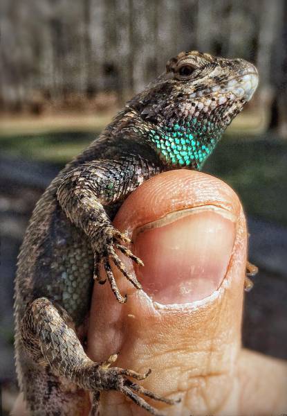 daily picdump 102 pics 3.html - 102 HD Photos | Premium Gallery 2017