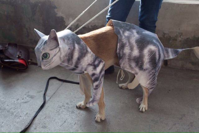 daily picdump 102 pics 3.html - 102 HD Photos | Premium Gallery 2017