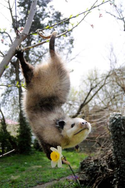 daily picdump 102 pics 3.html - 102 HD Photos | Premium Gallery 2017