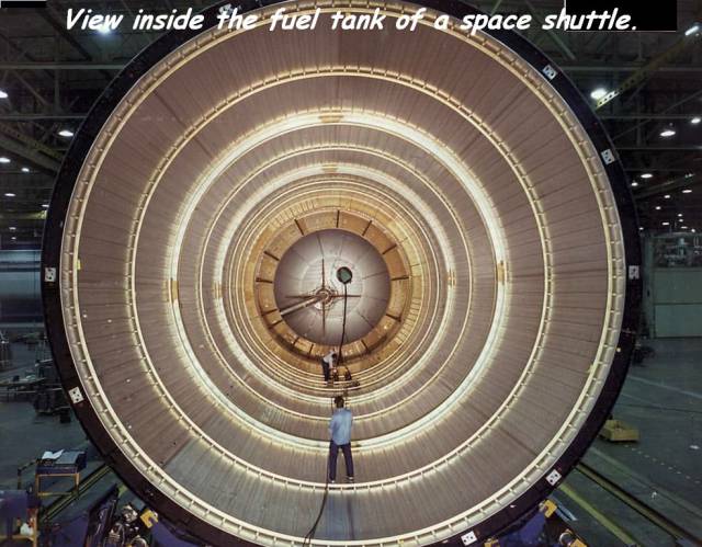 daily picdump 102 pics 3.html - 102 HD Photos | Premium Gallery 2017