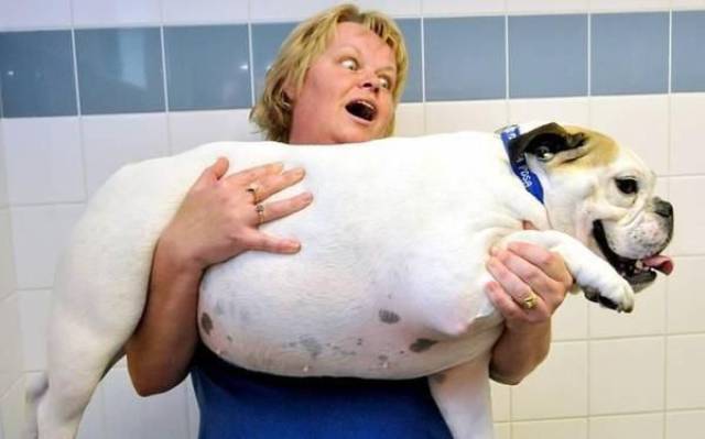 daily picdump 102 pics 3.html - 102 HD Photos | Premium Gallery 2017