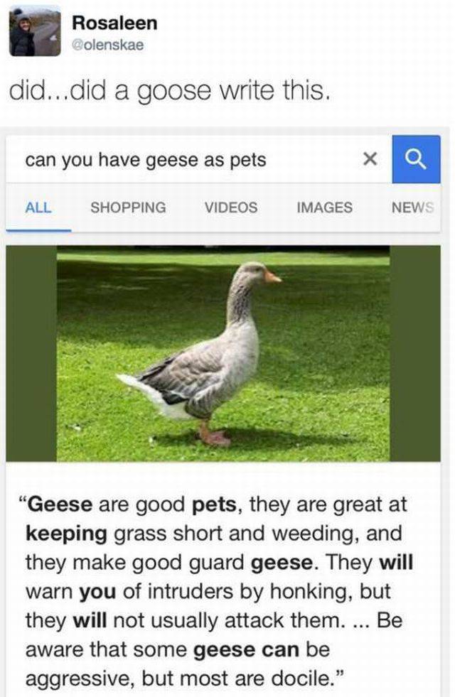 daily picdump 102 pics 3.html - 102 HD Photos | Premium Gallery 2017