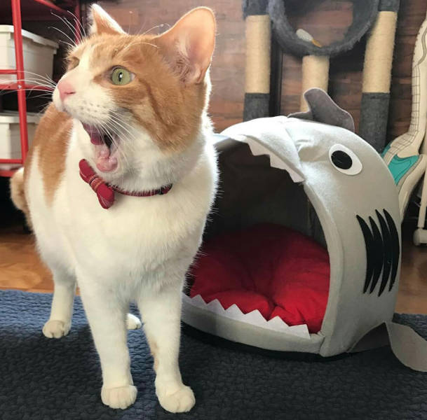 morning picdump 52 pics 14.html - 52 HD Photos | Premium Gallery 2017