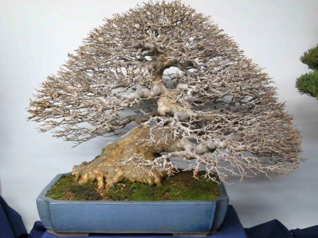 morning picdump 52 pics 14.html - 52 HD Photos | Premium Gallery 2017