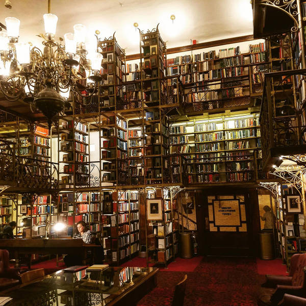 morning picdump 52 pics 14.html - 52 HD Photos | Premium Gallery 2017