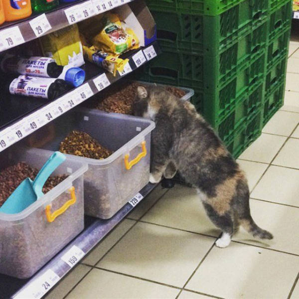 morning picdump 52 pics 14.html - 52 HD Photos | Premium Gallery 2017