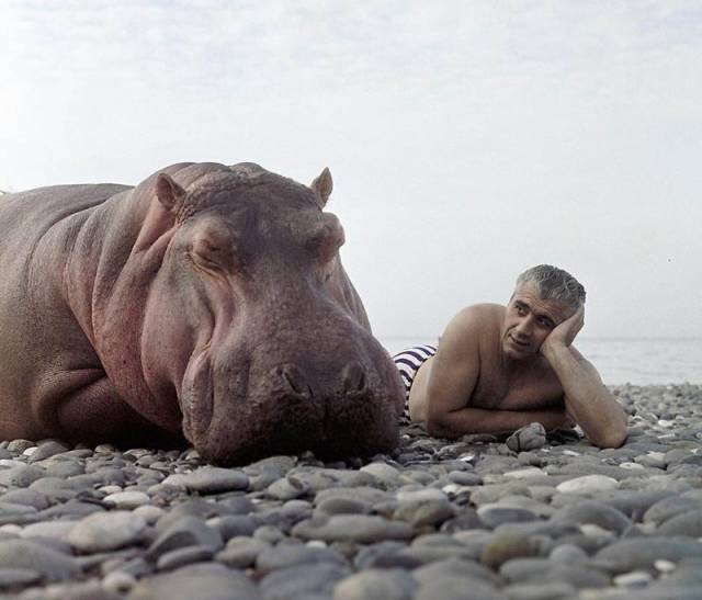 daily picdump 102 pics 2.html - 102 HD Photos | Premium Gallery 2017