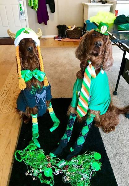 daily picdump 102 pics 2.html - 102 HD Photos | Premium Gallery 2017