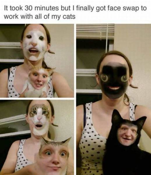 daily picdump 102 pics 2.html - 102 HD Photos | Premium Gallery 2017