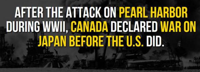 daily picdump 102 pics 2.html - 102 HD Photos | Premium Gallery 2017