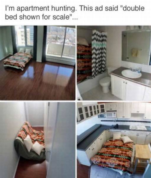 daily picdump 102 pics 2.html - 102 HD Photos | Premium Gallery 2017