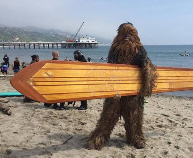 daily picdump 102 pics 2.html - 102 HD Photos | Premium Gallery 2017