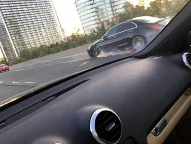 daily picdump 102 pics 2.html - 102 HD Photos | Premium Gallery 2017