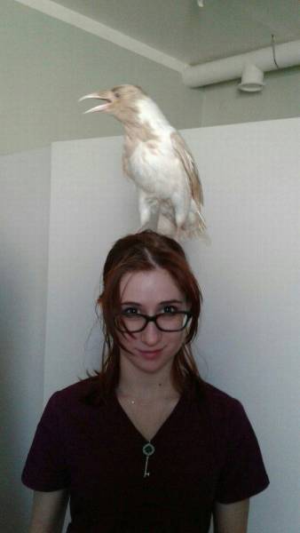 daily picdump 102 pics 2.html - 102 HD Photos | Premium Gallery 2017