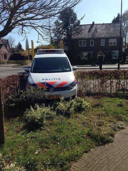 daily picdump 102 pics 2.html - 102 HD Photos | Premium Gallery 2017