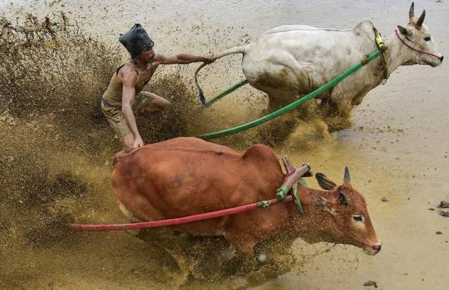 daily picdump 102 pics 2.html - 102 HD Photos | Premium Gallery 2017