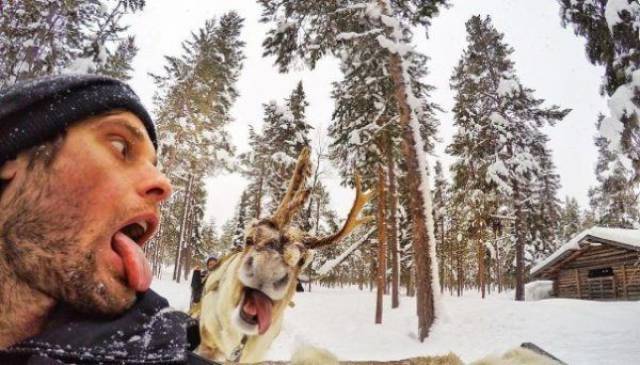 daily picdump 102 pics 2.html - 102 HD Photos | Premium Gallery 2017