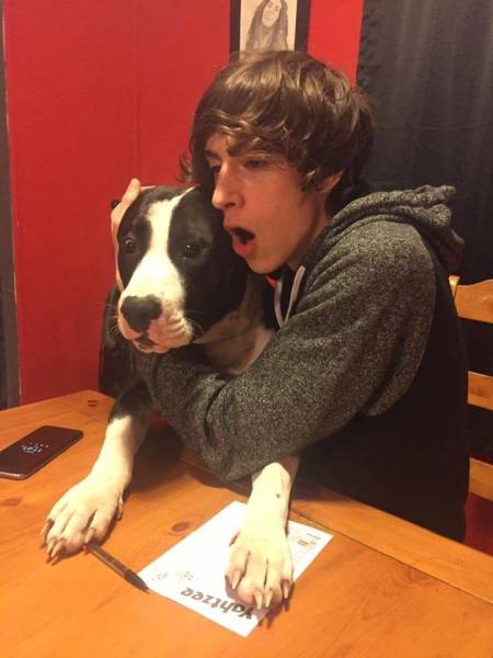 daily picdump 102 pics 2.html - 102 HD Photos | Premium Gallery 2017