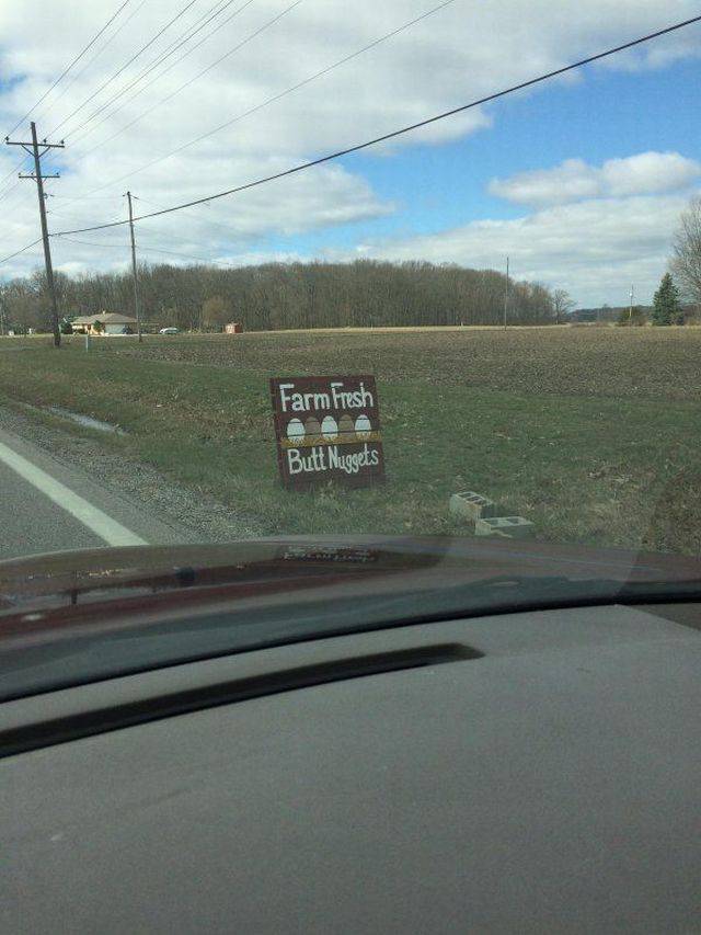 daily picdump 102 pics 2.html - 102 HD Photos | Premium Gallery 2017