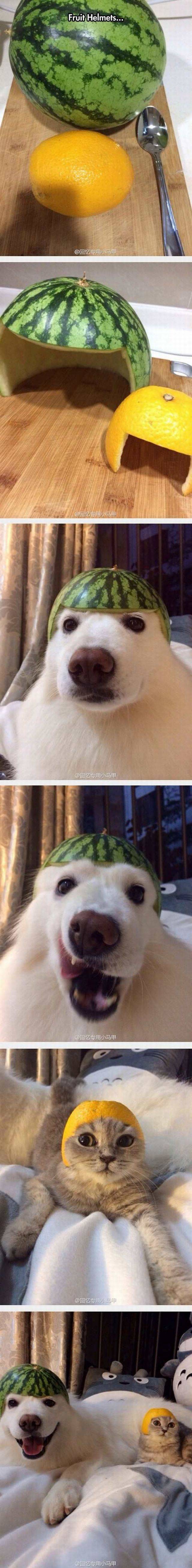 daily picdump 102 pics 2.html - 102 HD Photos | Premium Gallery 2017