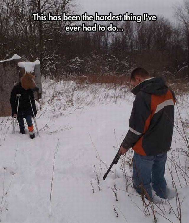 daily picdump 102 pics 2.html - 102 HD Photos | Premium Gallery 2017