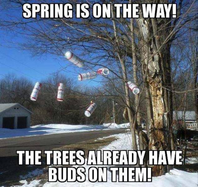 funny picdump 51 pics 26.html - 51 HD Photos | Premium Gallery 2017