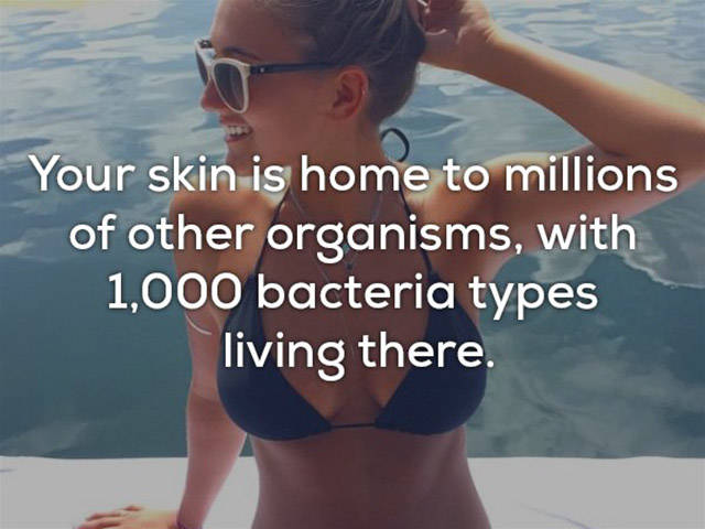 Is Everything Of This Really About Our Skin?!