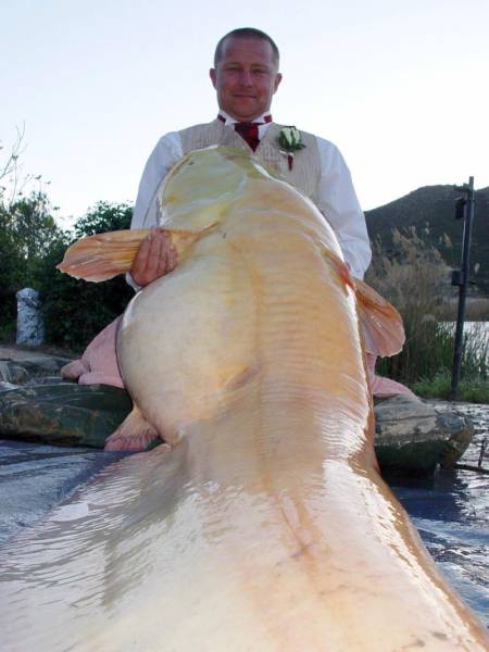 daily picdump 101 pics 3.html - 101 HD Photos | Premium Gallery 2017