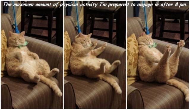 daily picdump 101 pics 3.html - 101 HD Photos | Premium Gallery 2017