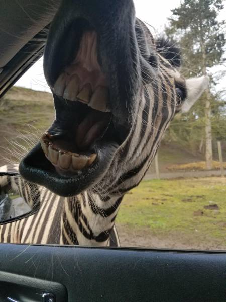 daily picdump 101 pics 3.html - 101 HD Photos | Premium Gallery 2017