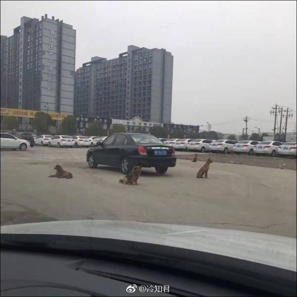 daily picdump 101 pics 3.html - 101 HD Photos | Premium Gallery 2017