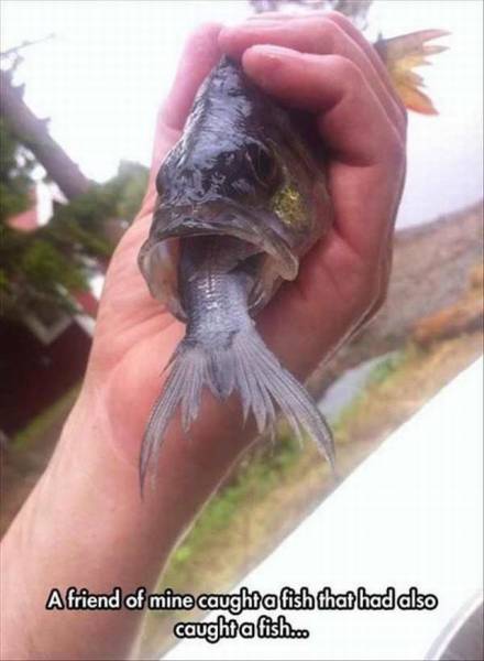 daily picdump 101 pics 3.html - 101 HD Photos | Premium Gallery 2017