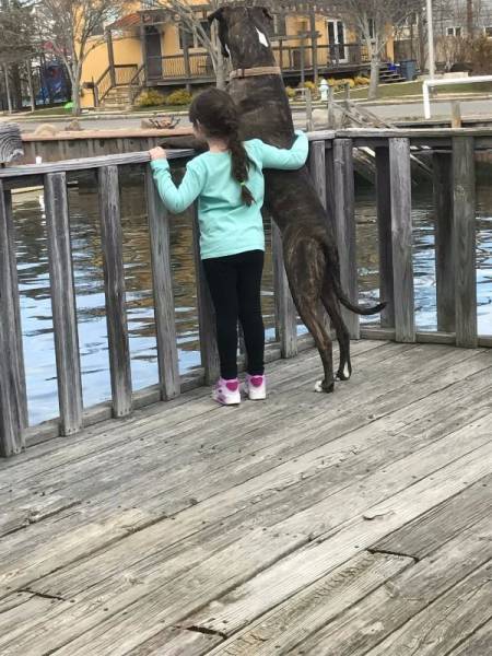 daily picdump 101 pics 3.html - 101 HD Photos | Premium Gallery 2017