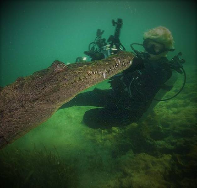 daily picdump 101 pics 3.html - 101 HD Photos | Premium Gallery 2017