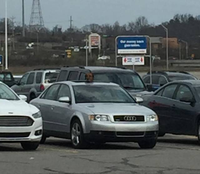 daily picdump 101 pics 3.html - 101 HD Photos | Premium Gallery 2017