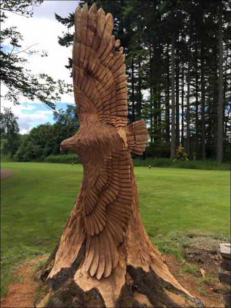 daily picdump 101 pics 3.html - 101 HD Photos | Premium Gallery 2017