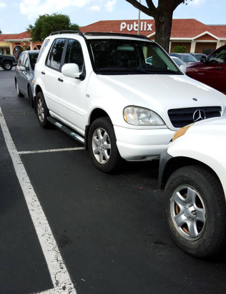 morning picdump 50 pics 18.html - 50 HD Photos | Premium Gallery 2017