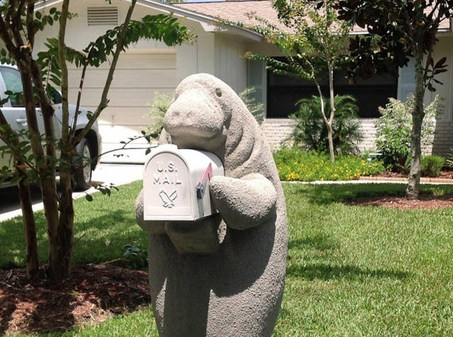 morning picdump 50 pics 18.html - 50 HD Photos | Premium Gallery 2017