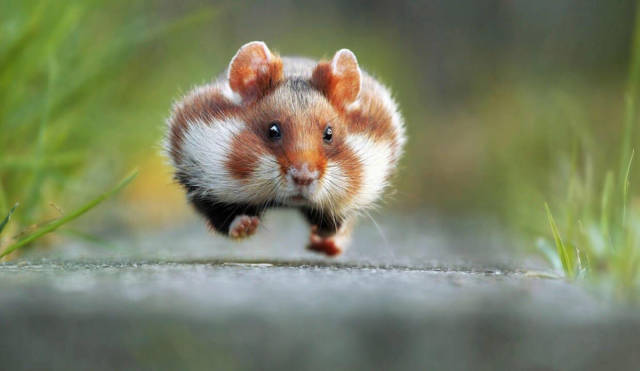 morning picdump 50 pics 18.html - 50 HD Photos | Premium Gallery 2017