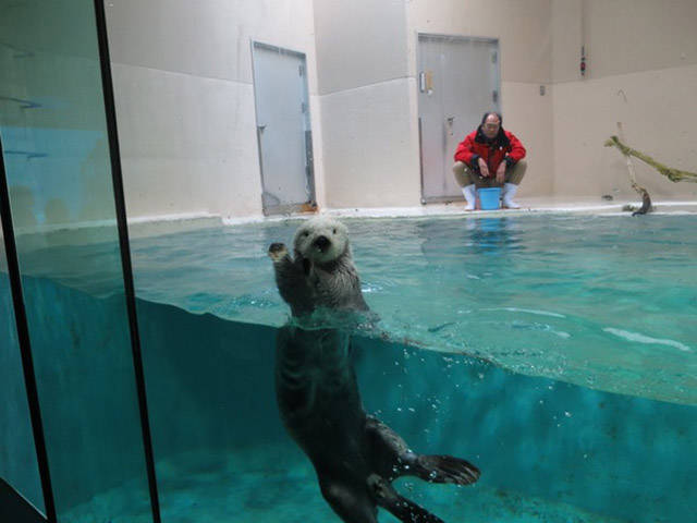 Daily Picdump [WEEKEND EDITION]