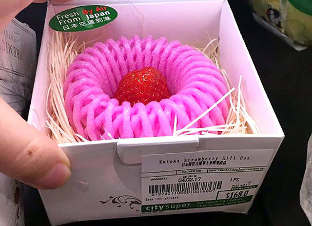 daily picdump weekend edition 52 pics 19.html - 52 HD Photos | Premium Gallery 2017