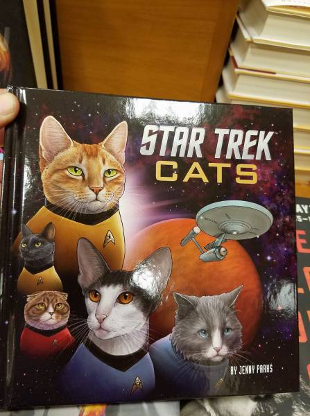 daily picdump weekend edition 52 pics 19.html - 52 HD Photos | Premium Gallery 2017