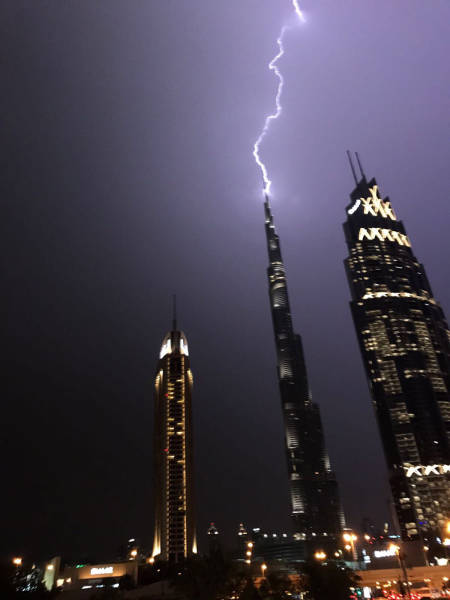 daily picdump weekend edition 52 pics 19.html - 52 HD Photos | Premium Gallery 2017