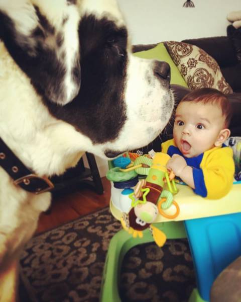 daily picdump weekend edition 52 pics 19.html - 52 HD Photos | Premium Gallery 2017