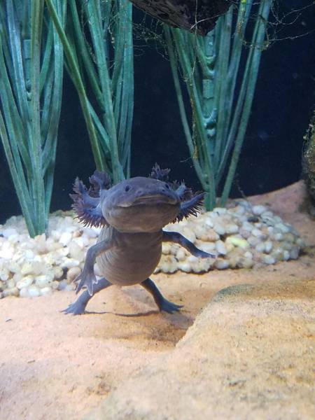 daily picdump 96 pics 3.html - 96 HD Photos | Premium Gallery 2017